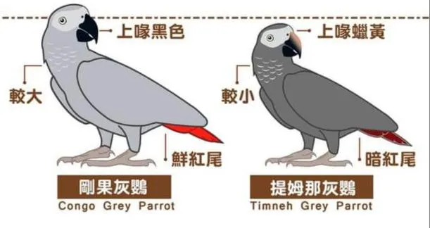 圖片來源:阿迷購