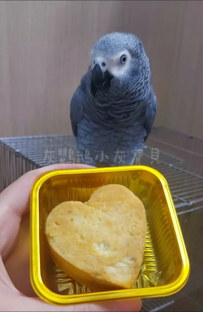 圖片來源:灰鸚鵡小灰寶貝《【鳳梨酥DIY】手工製作鳳梅酥》https://www.potatomedia.co/s/82Rrqqr