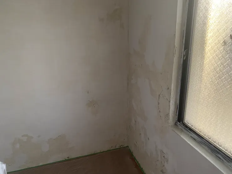 有上透明漆之杯具牆面