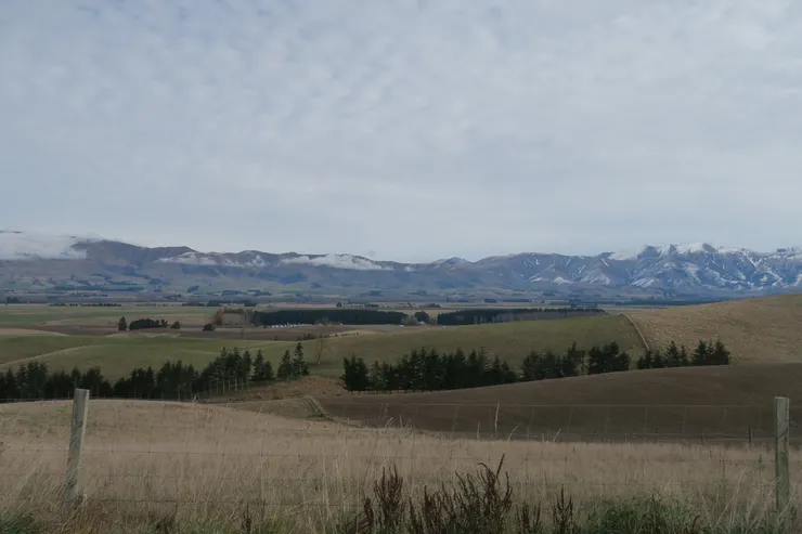 往基督城的路上，隨手拍的風景。紐西蘭的平凡，就是那麼不平凡。