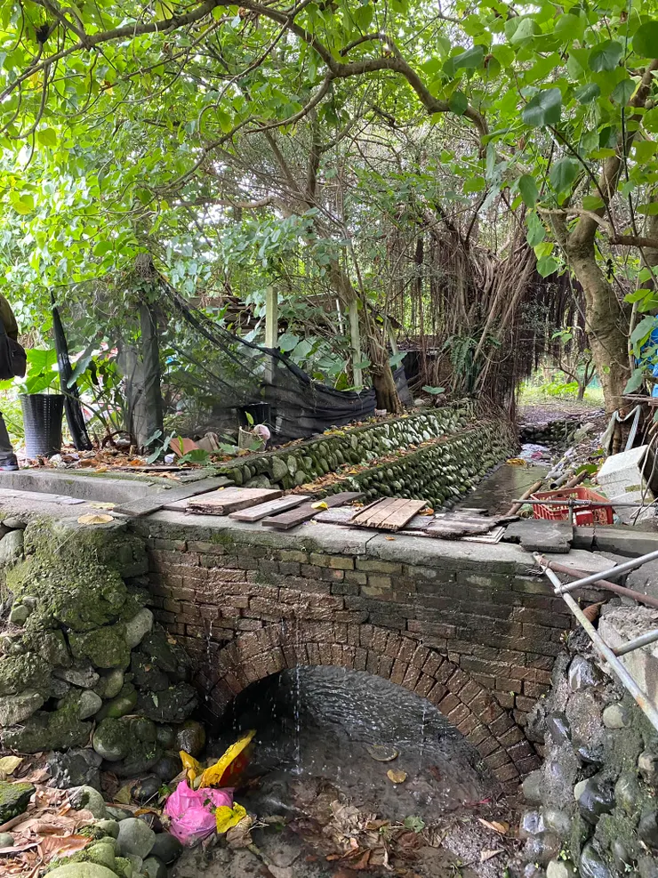 日本時代完成的灌排分離水路2023.12.2拍攝