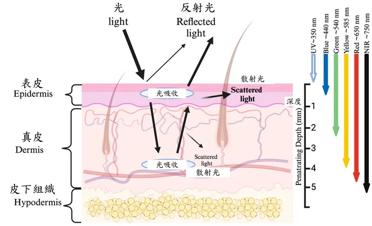 紫外線/可見光/近紅外線
