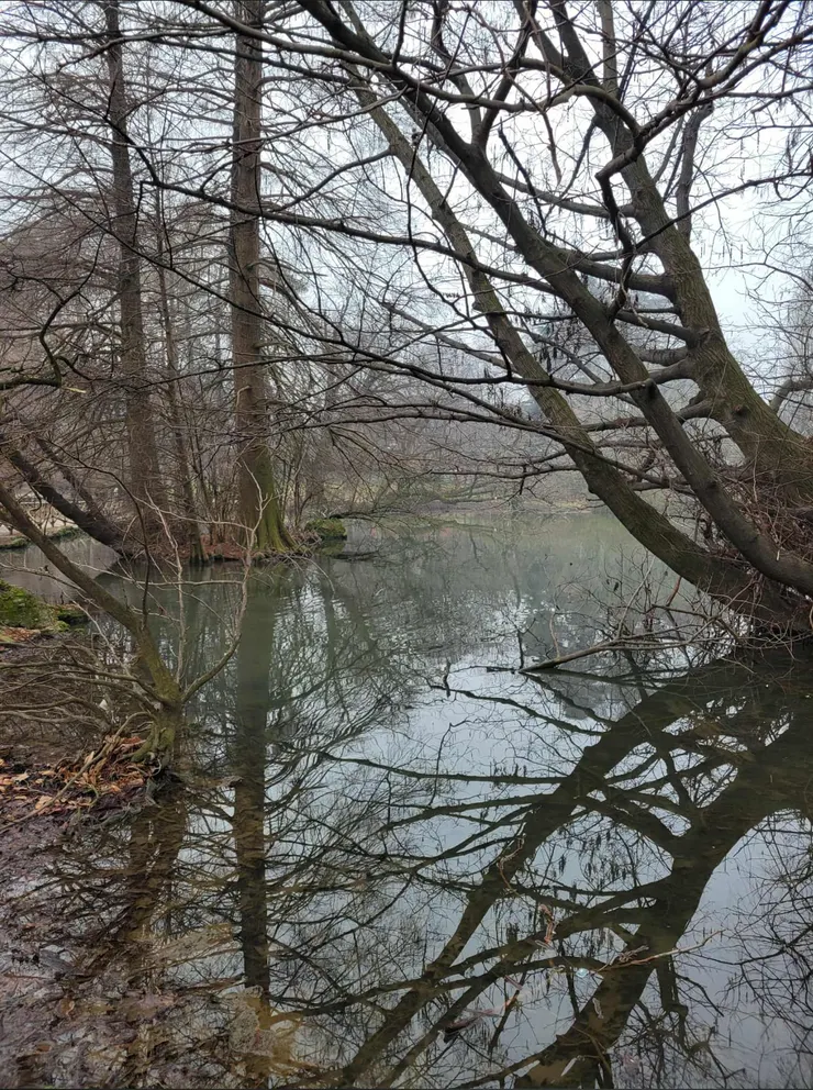 公園裡有許多小池塘