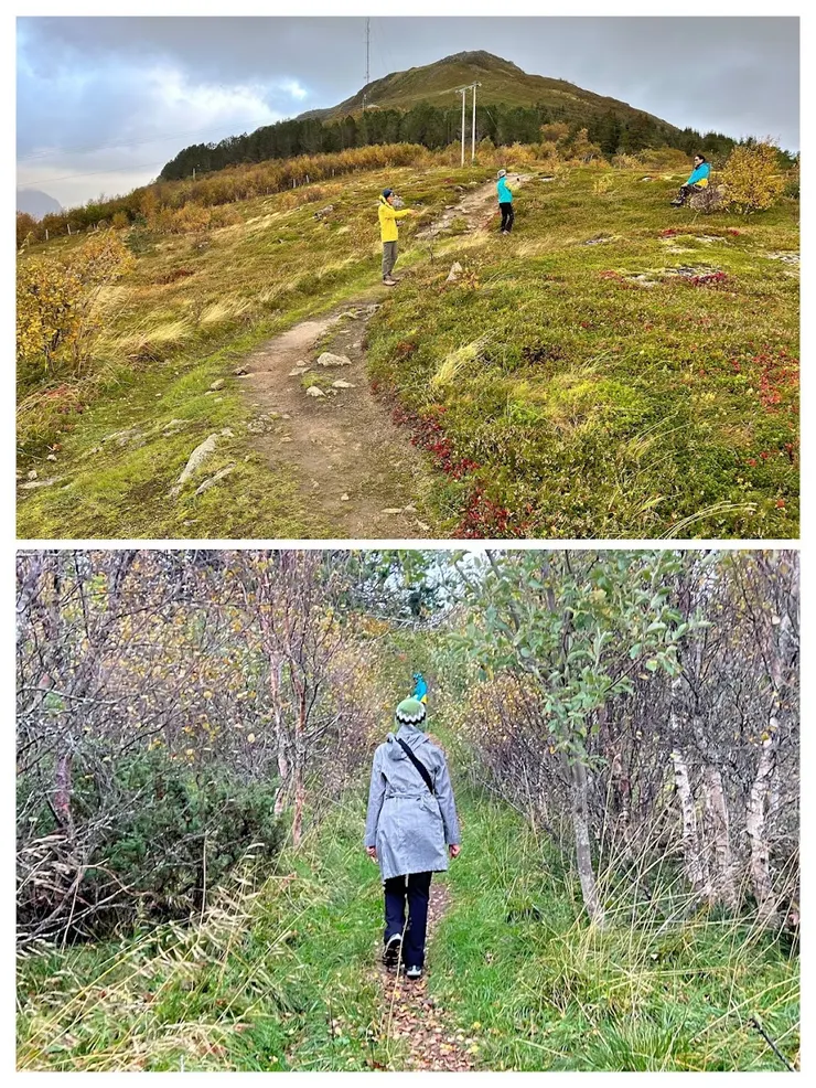 民宿附近的不知名步道