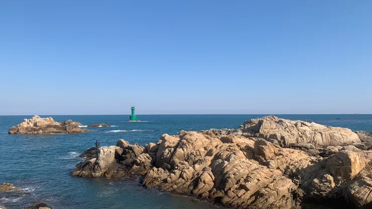 綠色的在海岸線也很顯眼。