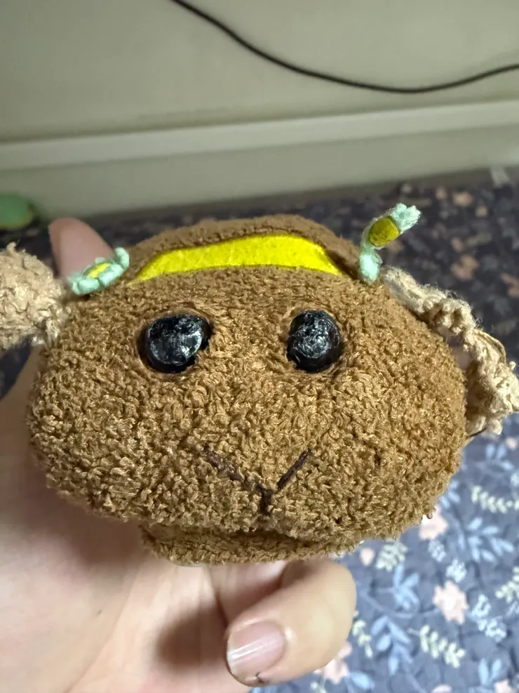 2025/10/25 大姊兒子床上的玩偶