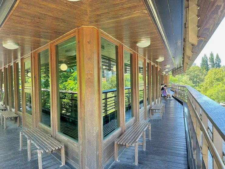 很喜歡這個從頂樓陽台的視角，很有鏡像的感覺