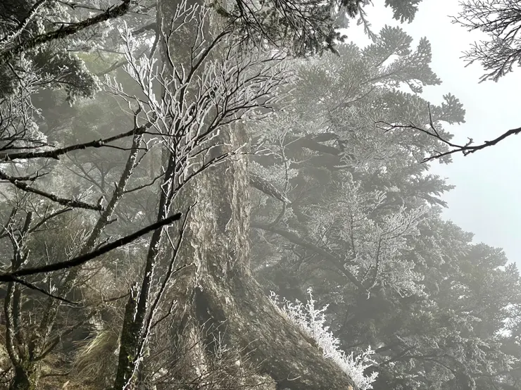 當晚，山的西面完全結冰，化身美麗的銀白世界，但對我們來說卻是生命的威脅。
