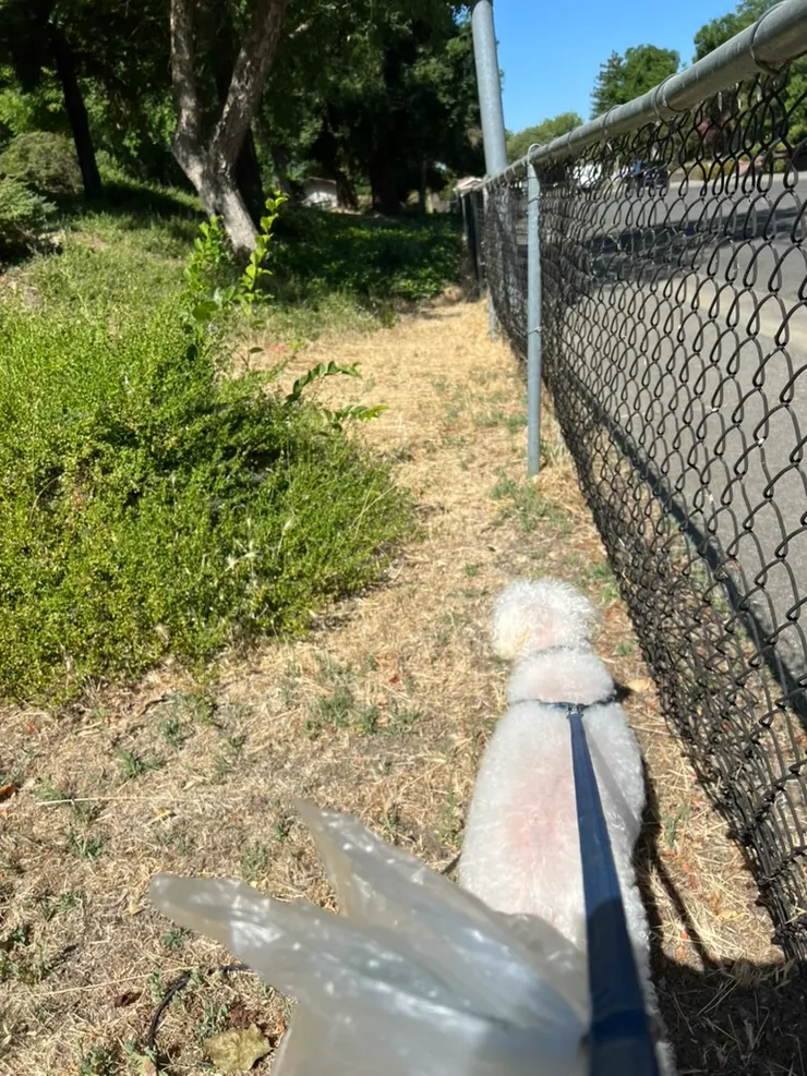 這就是他帶我們去的荒郊野地，真是什麼地方不好走，非要來這種地方不可。