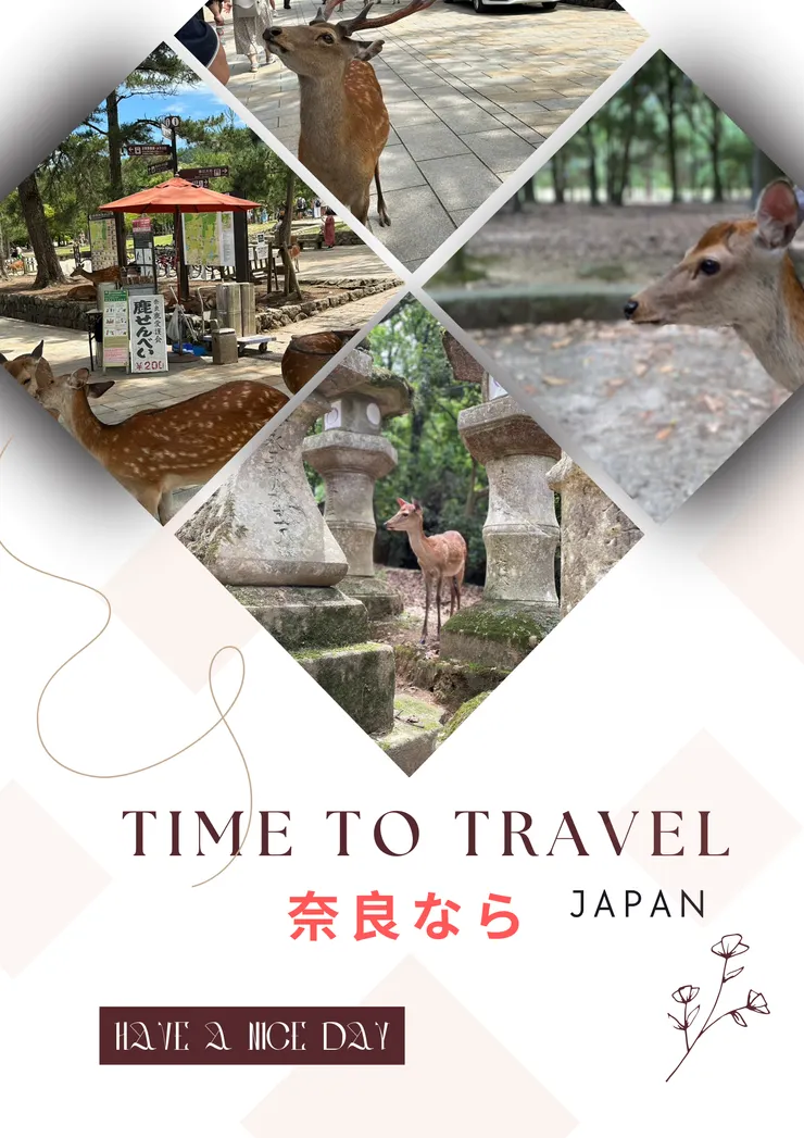 奈良可愛的萌鹿