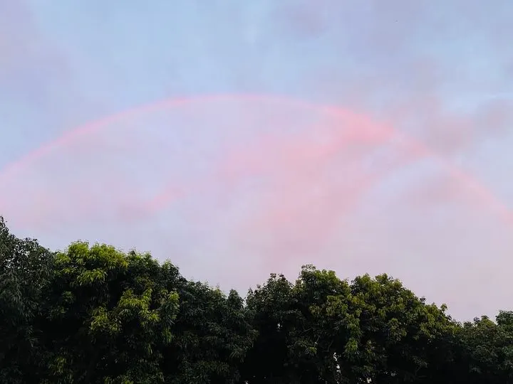 -度日隨筆#28｜你是被眷顧的-