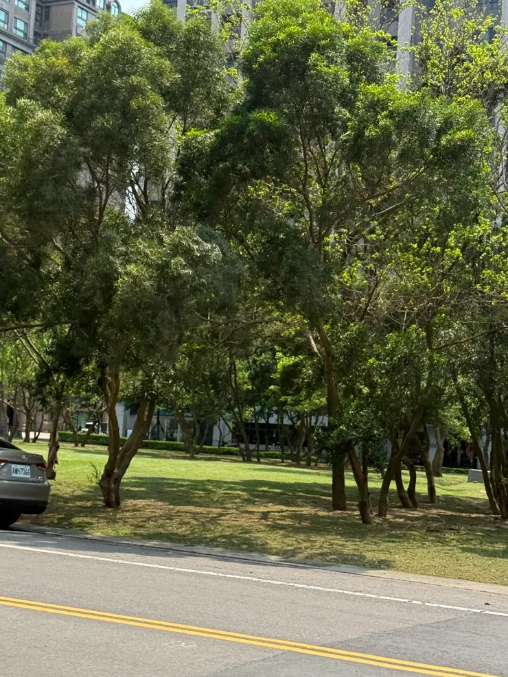 2026/04/10 走路回辦公室的風景