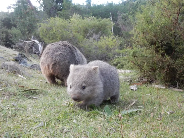 調皮搗蛋的小寶寶