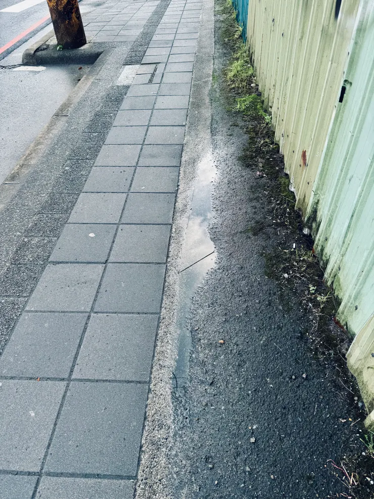 看到的是水灘，或水灘映照出的天空