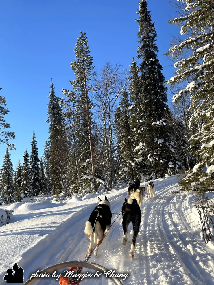 狗拉雪橇
