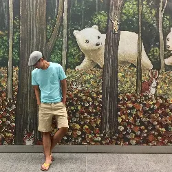 洛伊爾懷斯的沙龍