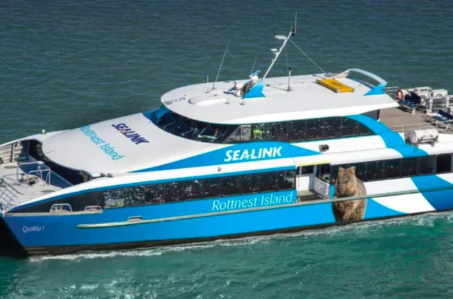 SeaLink Rottnest Island（官方圖片）