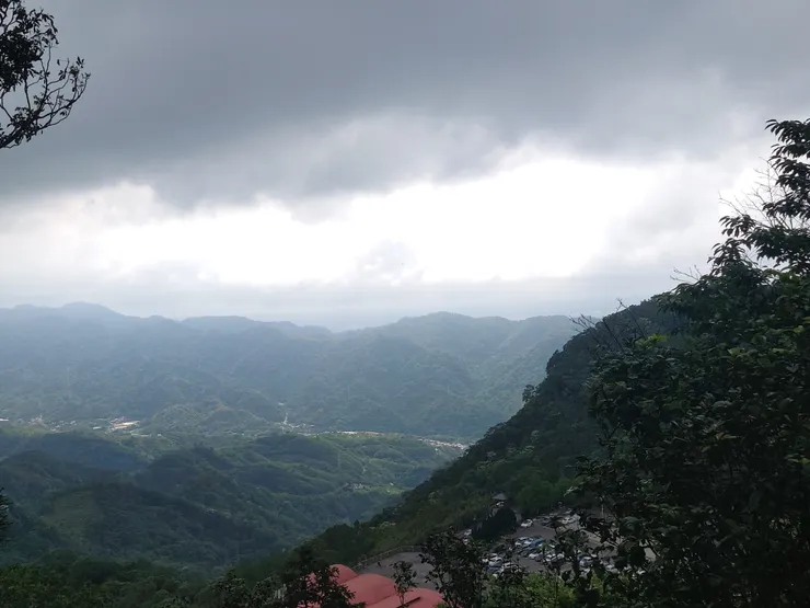 霧散去後的驚鴻一瞥