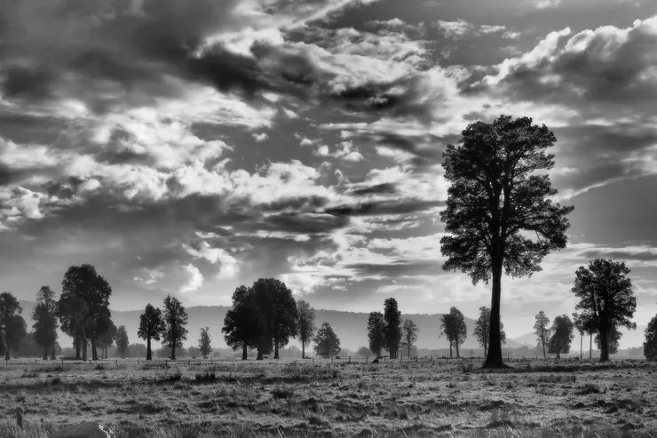 小鎮「Fox Glacier」