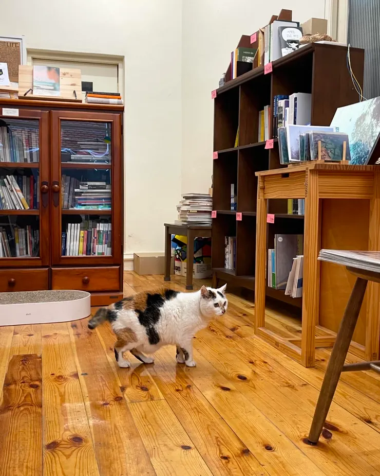 나락서점 ＠夏夏