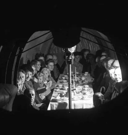 圖片來源：Naturhistoriska Museet at Slottsskogen 