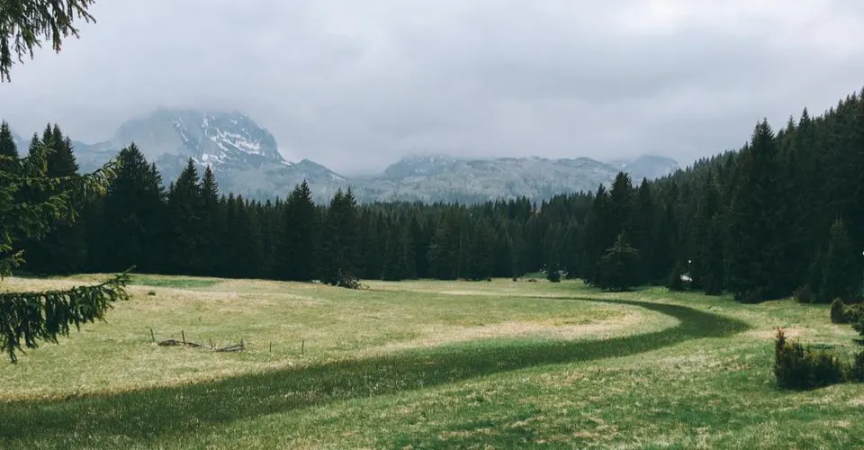 菈東荷的人生旅圖
