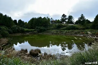 就算是看天池也是高山上動物棲息的重要地方