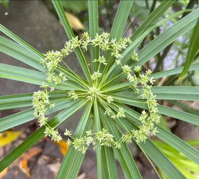 學習方式沒有對錯，只有適合的應用時機