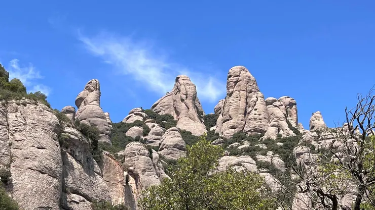 左起 金剛、大象、人面獅身