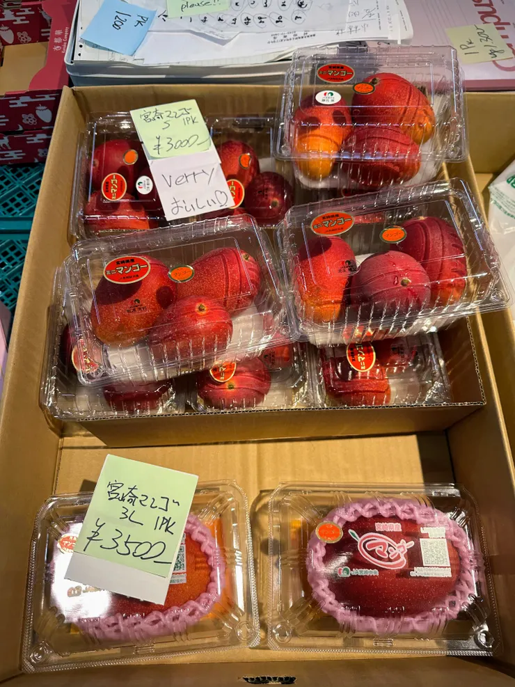 來自九州宮崎縣的愛文芒果是個天價的存在