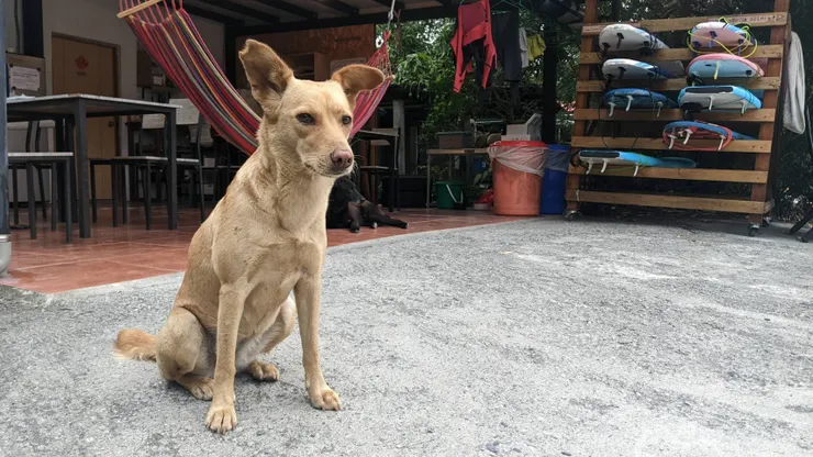 金樽/台東/Steven攝