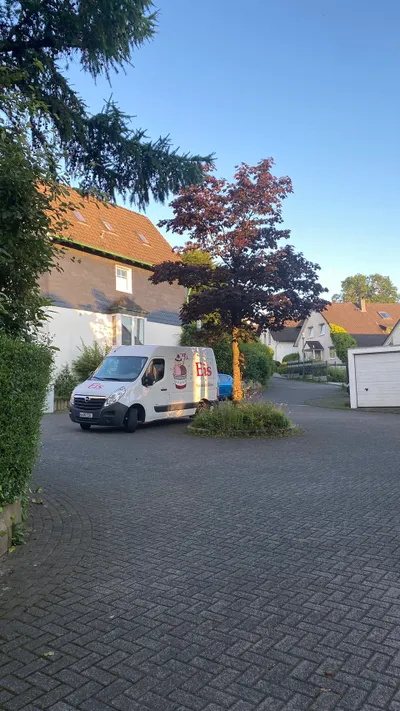 德國小鎮可愛的冰淇淋車來串門子了