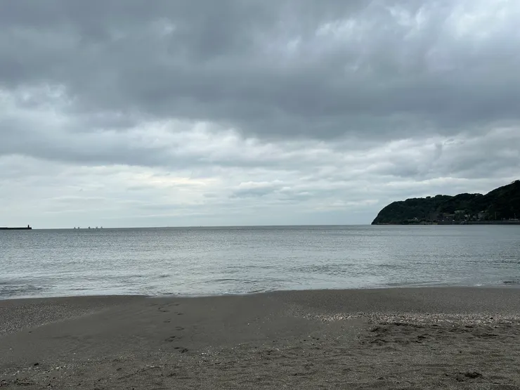 這幾天的天氣都是陰天