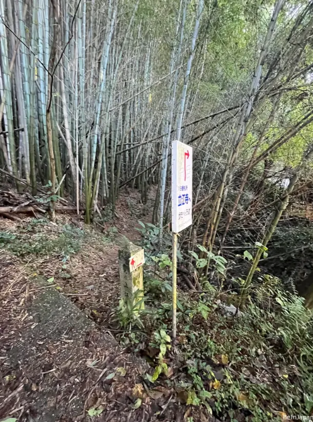 準備進入「弦卷坂」竹林小徑