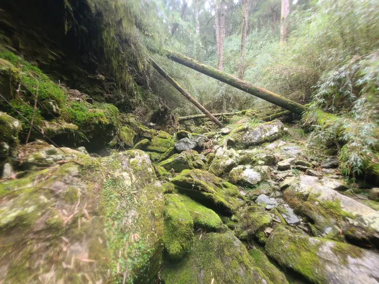 取右之後，青苔溪溝上行