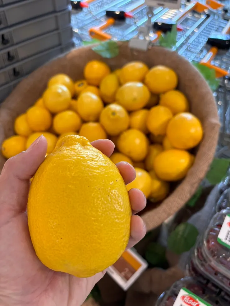 新加坡的檸檬⋯⋯好大顆！照片拍起來沒那麼大，實際上很大！（圖片來源：辰心）