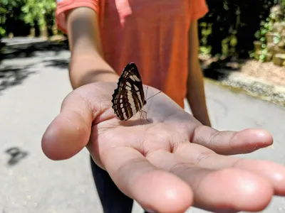 工作室的部落格