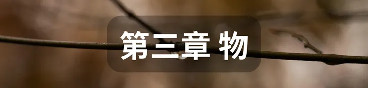 第三章 物