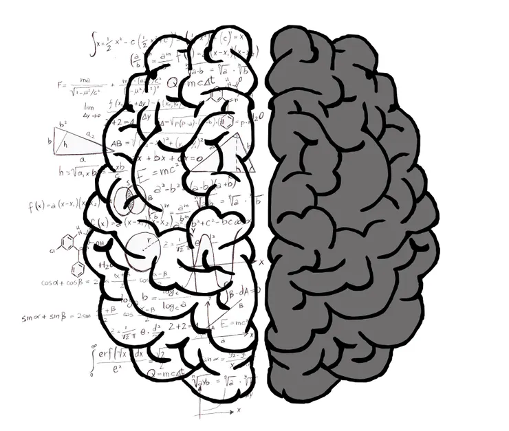 人性／理性／邏輯／腦袋