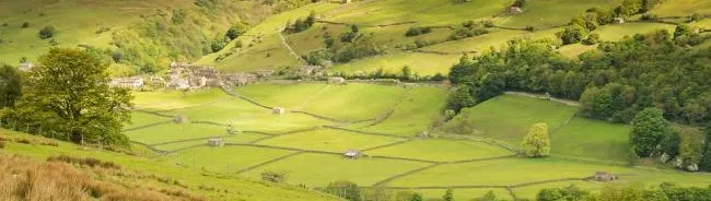 我的美格的沙龍