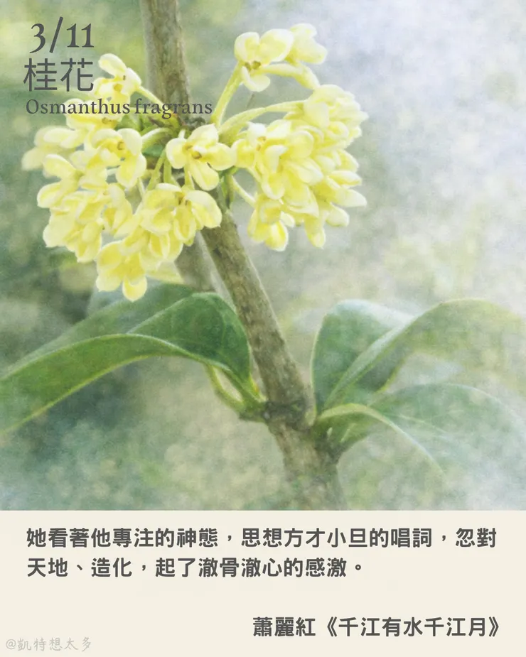 桂花×蕭麗紅《千江有水千江月》