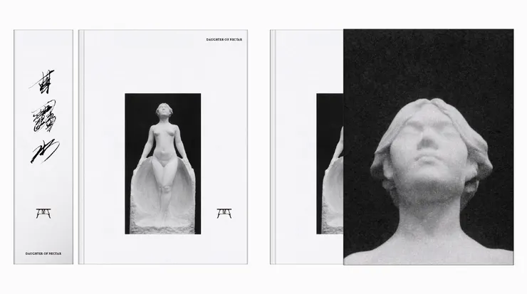 《甘露水》紀錄片影像書書封與書盒。／影像提供：北師美術館