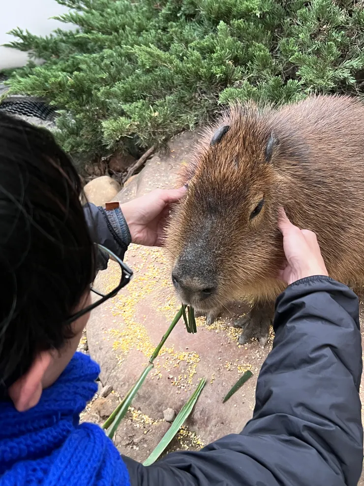 嚕嚕下巴..嚕嚕嚕