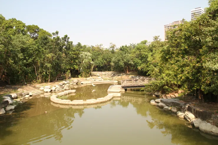 悠閒寧靜的人工湖泊，一隻白鷺鷥掠過水面。