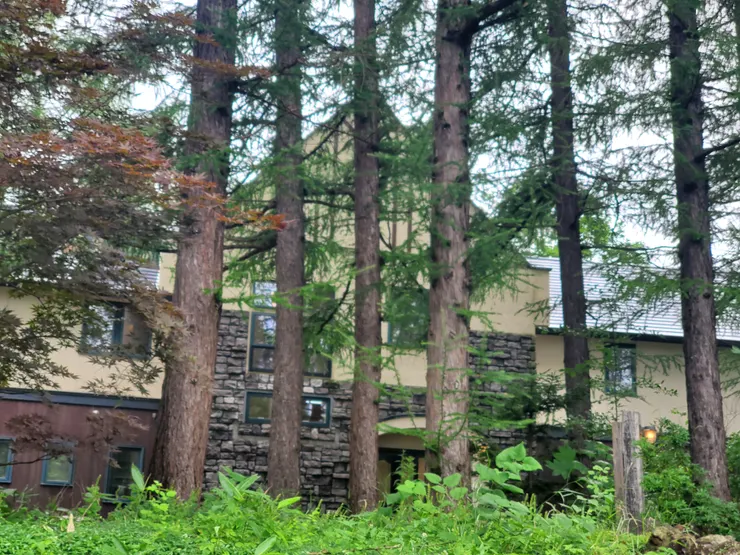 我拍的，跟官網差好多啊