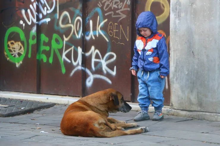 伊斯坦堡的男孩，攝影於土耳其2023.10