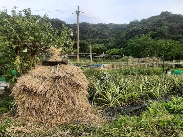 稻草堆