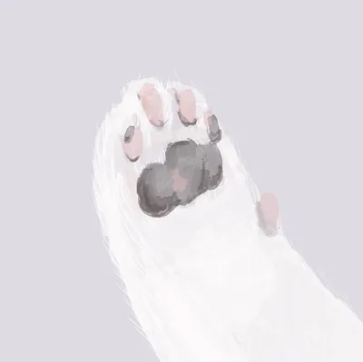 上班的貓也有休日