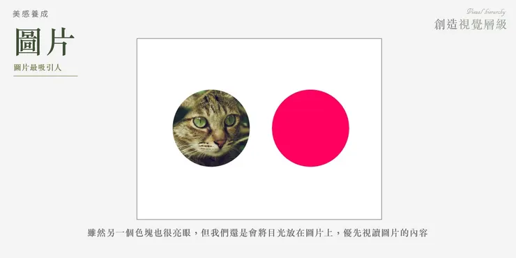 Design by Jhane Chou｜多數人都對貓很有感，所以放了貓來示意