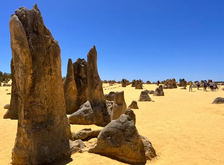 我們,被奇形怪異的石灰岩柱包圍了起來